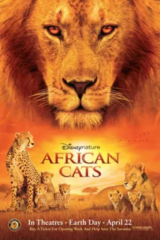 Image: African Cats