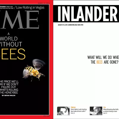 Image: Bees: The Inlander vs. Time Magazine