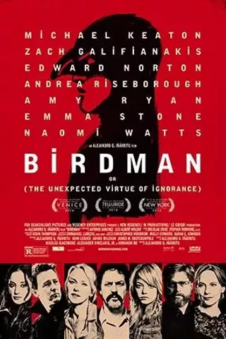 Image: Birdman or (The Unexpected Virtue of Ignorance)
