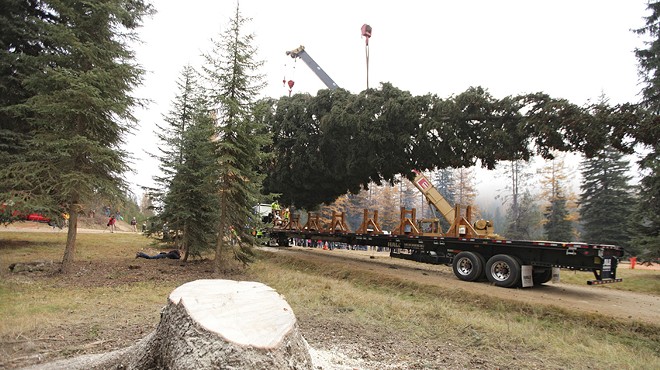 Capitol Christmas Tree Stops in Spokane