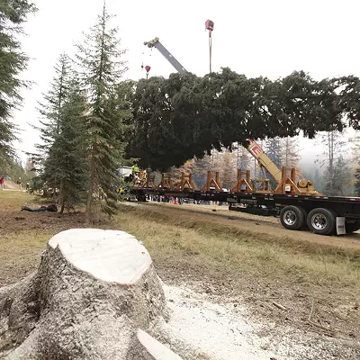 Image: Capitol Christmas Tree stops in Spokane