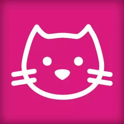 Image: CAT FRIDAY: Introducing the official Cat Friday Twitter