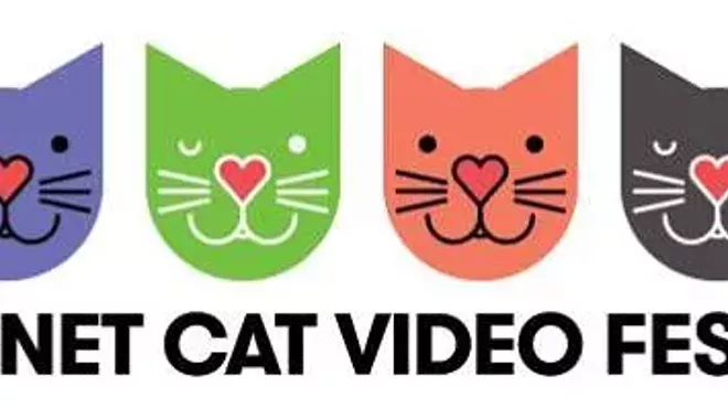 Image: CAT FRIDAY: Monday edition update on the Internet Cat Video Film Fest