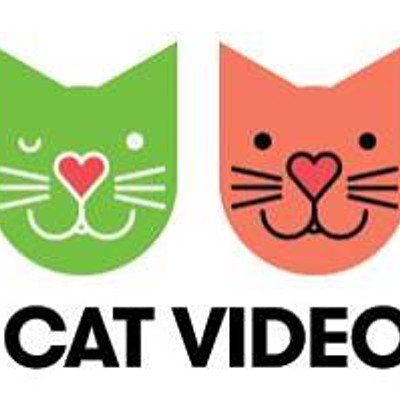 CAT FRIDAY: Monday edition update on the Internet Cat Video Film Fest