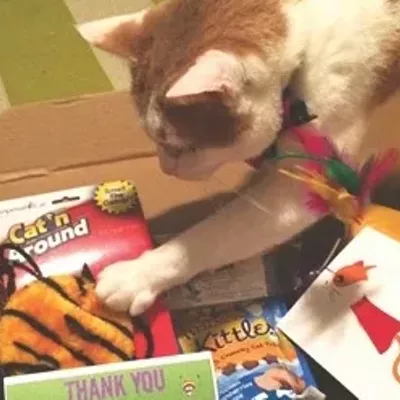 Image: CAT FRIDAY: The best gifts of 2014 for the cats in your life