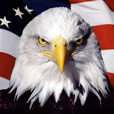 Image: ELECTION DAY: Everything you need to know