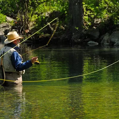 Image: Fish On The Fly