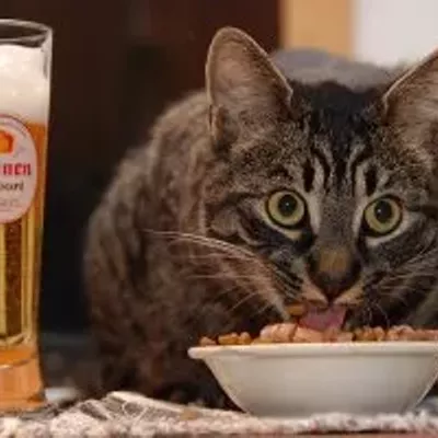 Image: Hallelujah Happy Hour