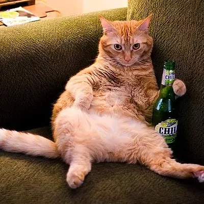 Image: Hump Day