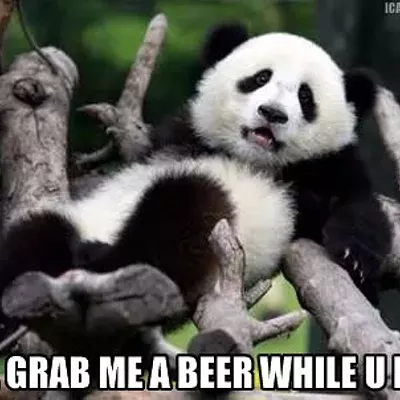 Image: Hump Day