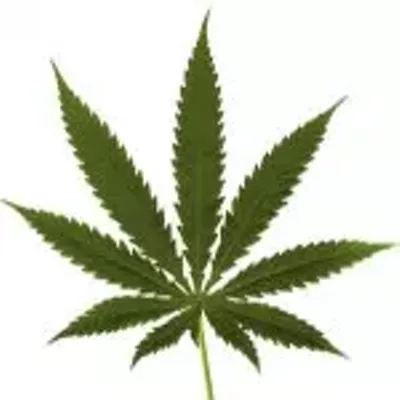 Image: MORNING BRIEFING: Sequester, hot air balloon explosion and no new pot shops