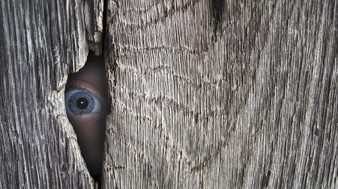 Image: Surveillance State