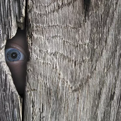 Image: Surveillance State