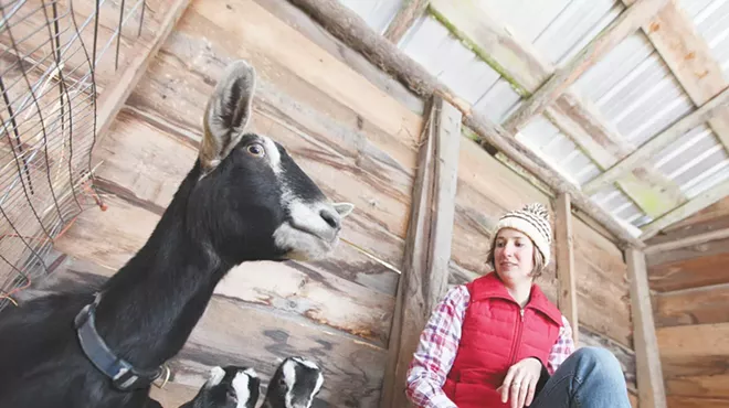 Image: From Farm to Table