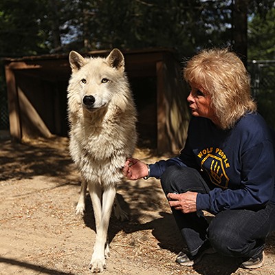 PHOTOS: Wolf People Center