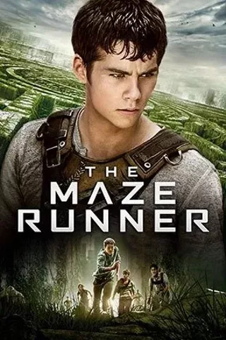 Image: The Maze Runner