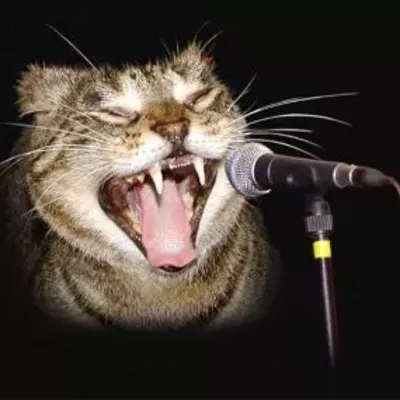 Image: THIS WEEKEND IN MUSIC: Idols! Stone! Zoe!