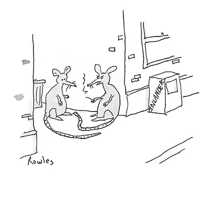 Image: This week's CAPTION CONTEST