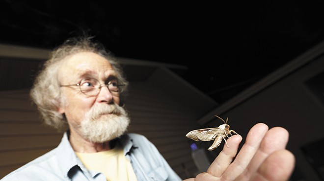 While moths may not seem glamorous, thousands of species are waiting to be discovered
