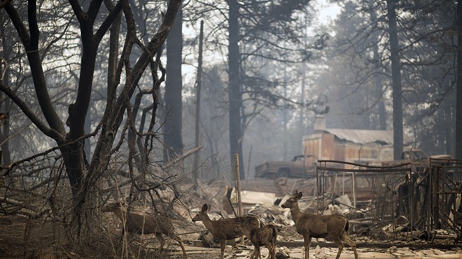 A grim search as deadly wildfires grip California
