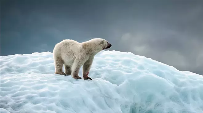 Image: The Wild & Scenic Film Festival aims to inspire a new generation of conservationists