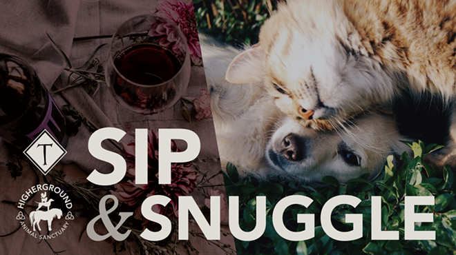 Sip & Snuggle: Valentine's Day with Higher Ground Animal Sanctuary