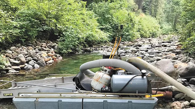 As the state works to protect endangered fish, Washington looks to block suction mining for gold
