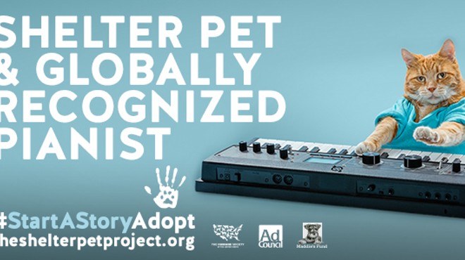 CAT FRIDAY: Spokane's Keyboard Cat stars in a national pet adoption campaign