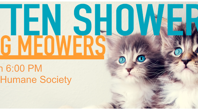 SHS Kitten Shower