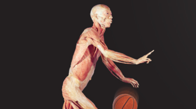 Bodies Human: Anatomy in Motion