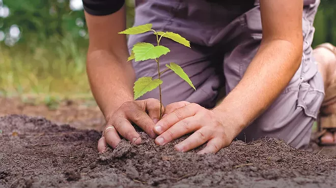 Image: Earth Day Tree Planting