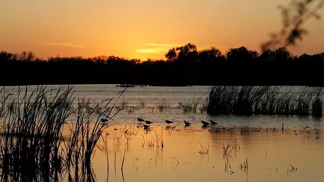 Image: Border Agency Set to Jumpstart Trump's Wall in a Texas Wildlife Refuge