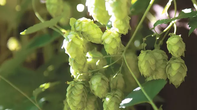 Image: Hop to It!