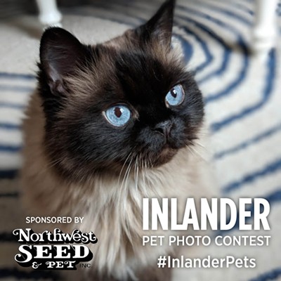 There's one day left to submit to the Inlander's first-ever Pets Issue photo contest!
