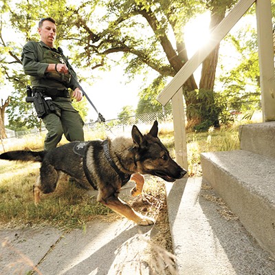 Police K9s, like the Spokane sheriff's Gunnar, are experts at finding suspects who don't want to be found