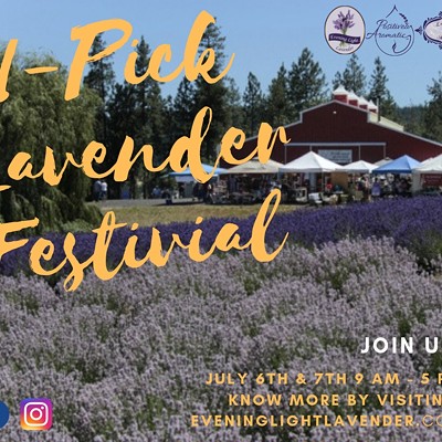 U-Pick Lavender Festival