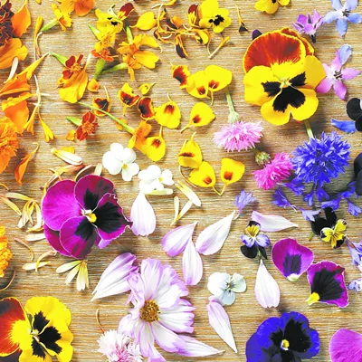 Image: Edible flowers are a visual highlight on local menus, with pansy, marigold, calendula blossoms and more