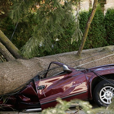 PHOTOS: Exploded trees, crushed cars, powerless people