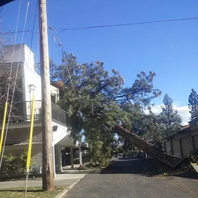 Image: City Council gets progress update addressing aftermath of windstorm