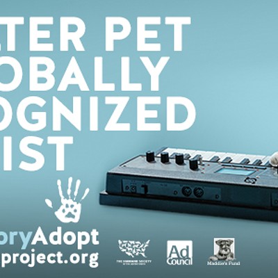 CAT FRIDAY: Spokane's Keyboard Cat stars in a national pet adoption campaign
