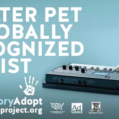 Image: CAT FRIDAY: Spokane's Keyboard Cat stars in a national pet adoption campaign