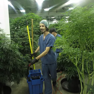 Image: Spokane Valley caps pot retailers at three, lifts moratorium on growers