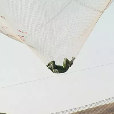 Image: Parachute-free skydiving, CDA boat crash and other morning headlines