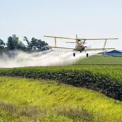 Image: Learning to live with dandelions, Spokane's infectious-disease response plan, and why do we lie?