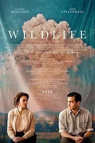 Image: Wildlife