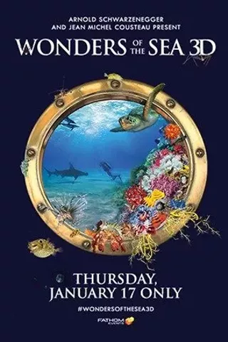 Image: Wonders of the Sea 3D