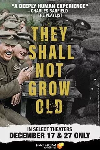Image: They Shall Not Grow Old 3D