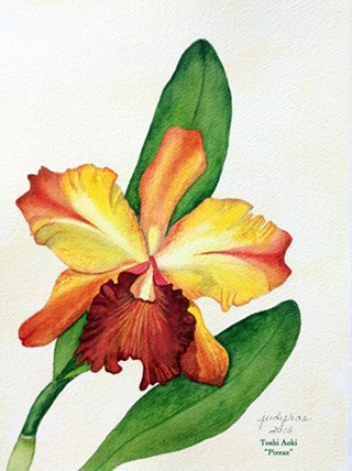 Spokane Orchid Society Show & Sale