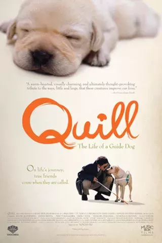 Image: Quill: The Life of a Guide Dog