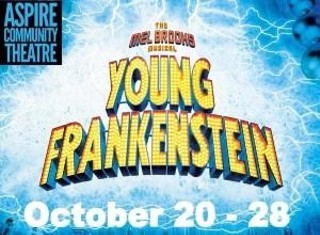 Young Frankenstein: The Mel Brooks Musical